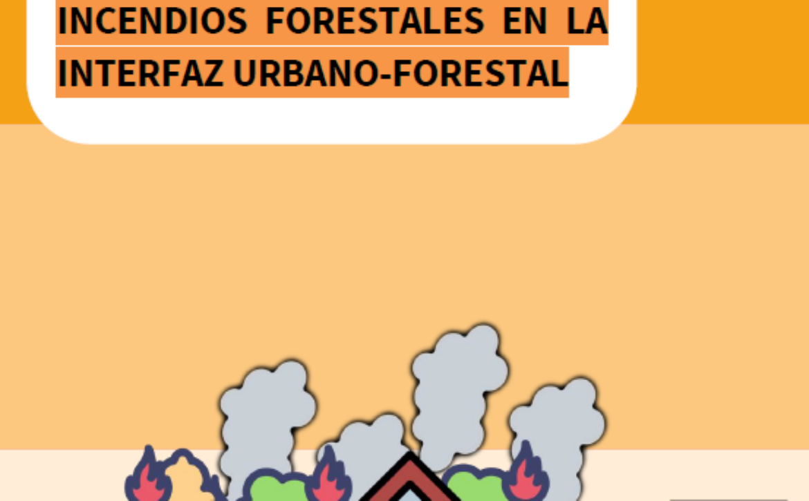 Captura de pantalla 2025-12-19 125705