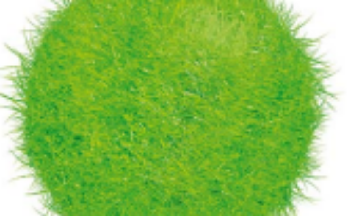 Captura de pantalla 2026-01-16 144139