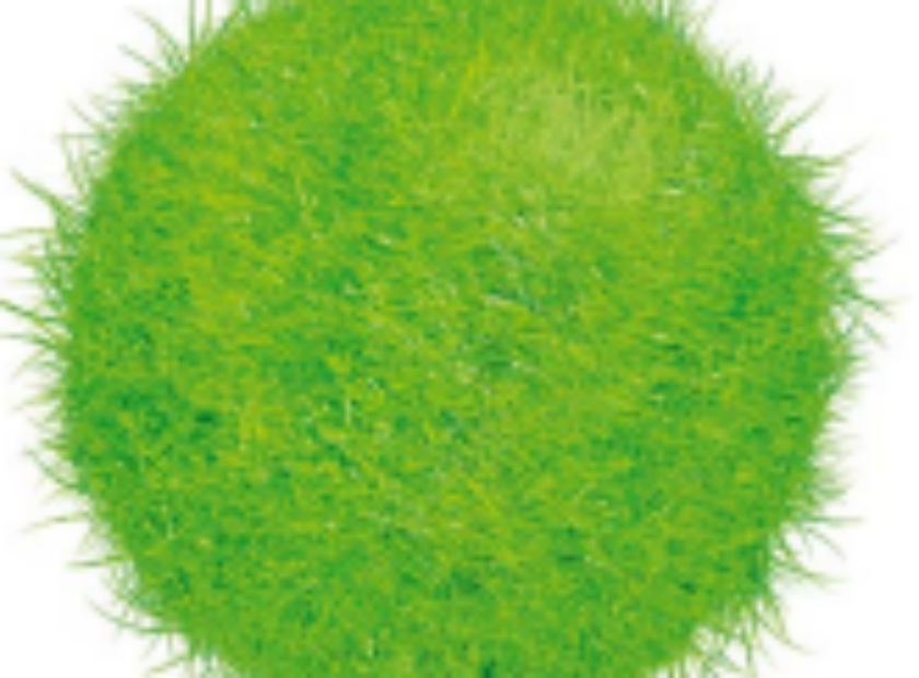 Captura de pantalla 2026-01-16 144139