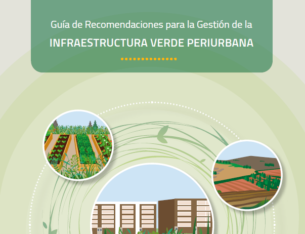 Captura de pantalla 2026-03-17 160556