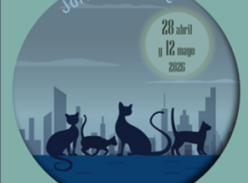 Captura de pantalla 2026-04-09 104642