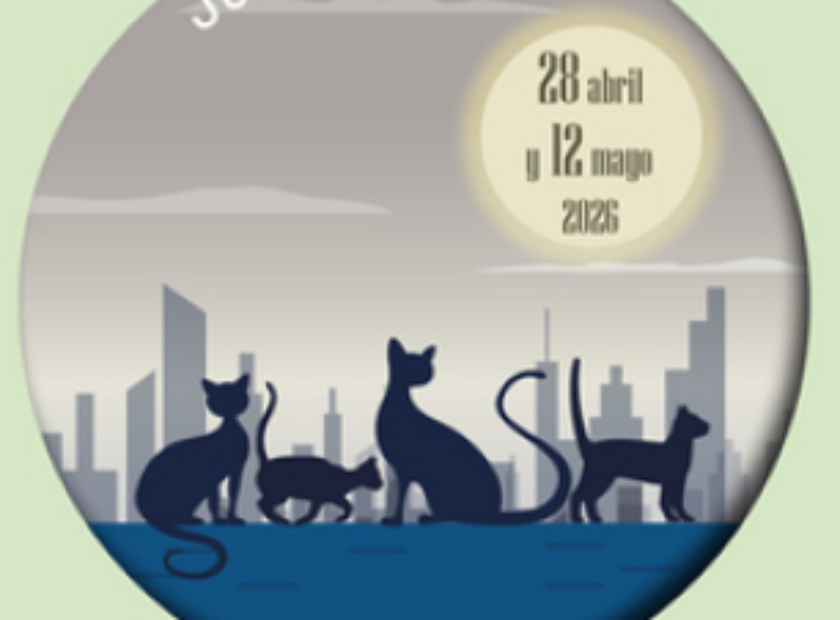 Captura de pantalla 2026-04-16 120249