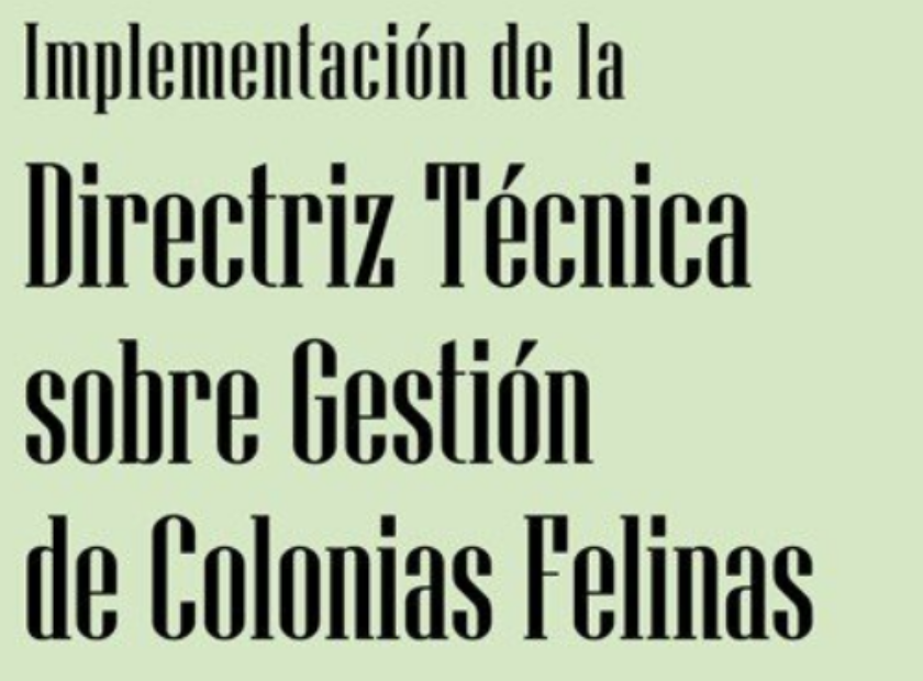 Captura de pantalla 2026-04-17 114233