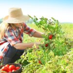 La FEMP reconoce la contribución de la mujer rural al desarrollo económico, social, cultural y ambiental de nuestros municipios